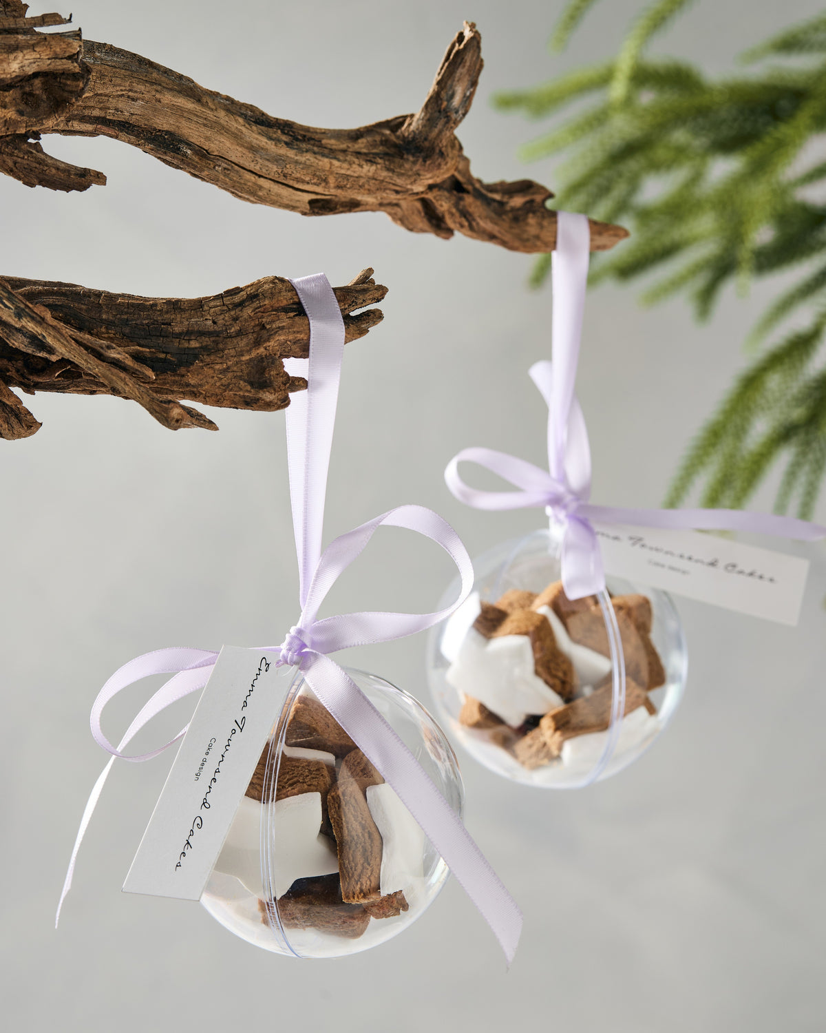 Two clear Christmas baubles filled with iced gingerbread star cookies, hanging from a branch by ribbon